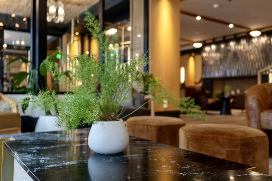 The Importance of Early Planning and Choosing a Landscaping Provider in the winter for the following season.