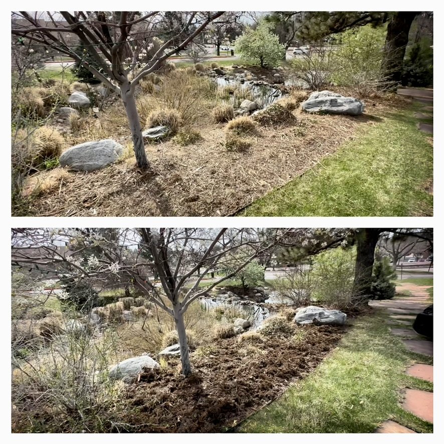 The Top 3 Reasons To Renew With Your Landscape Maintenance Provider