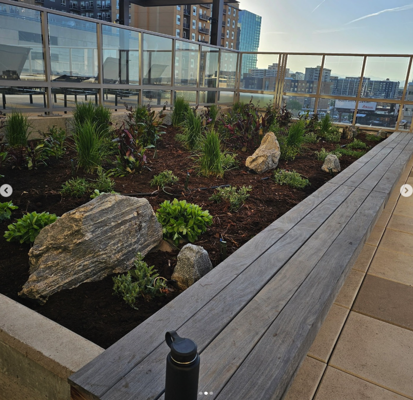 Why Choosing Your Landscaper Early Sets Your Property Up for a Successful Spring (and Beyond)