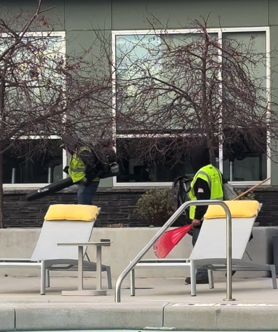 The Real Cost of Deferred Landscape Maintenance