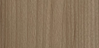 Andes Maple