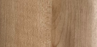 Austrian Birch