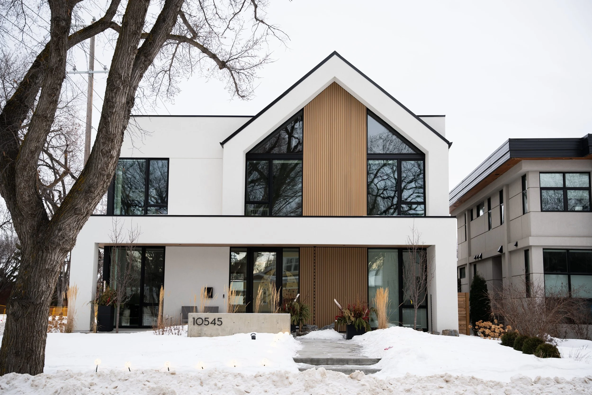 Bonsai-BSLT2 Golden Cedar_DSC02206.jpg