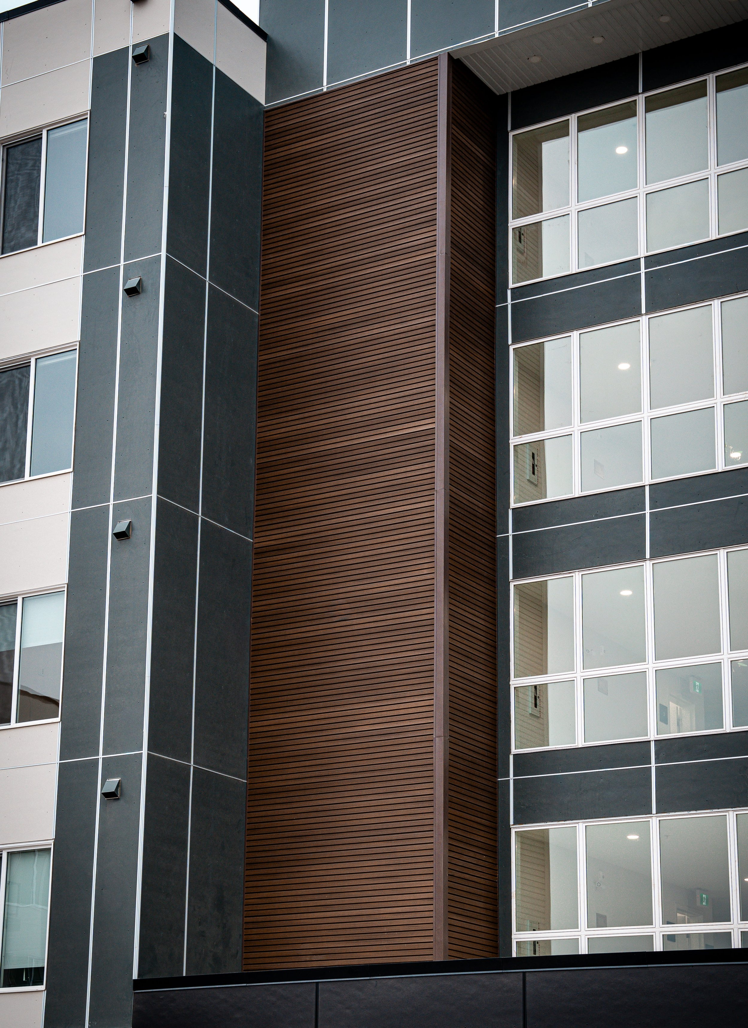 Bonsai-BSLT2 Walnut_DSC00188-2.jpg