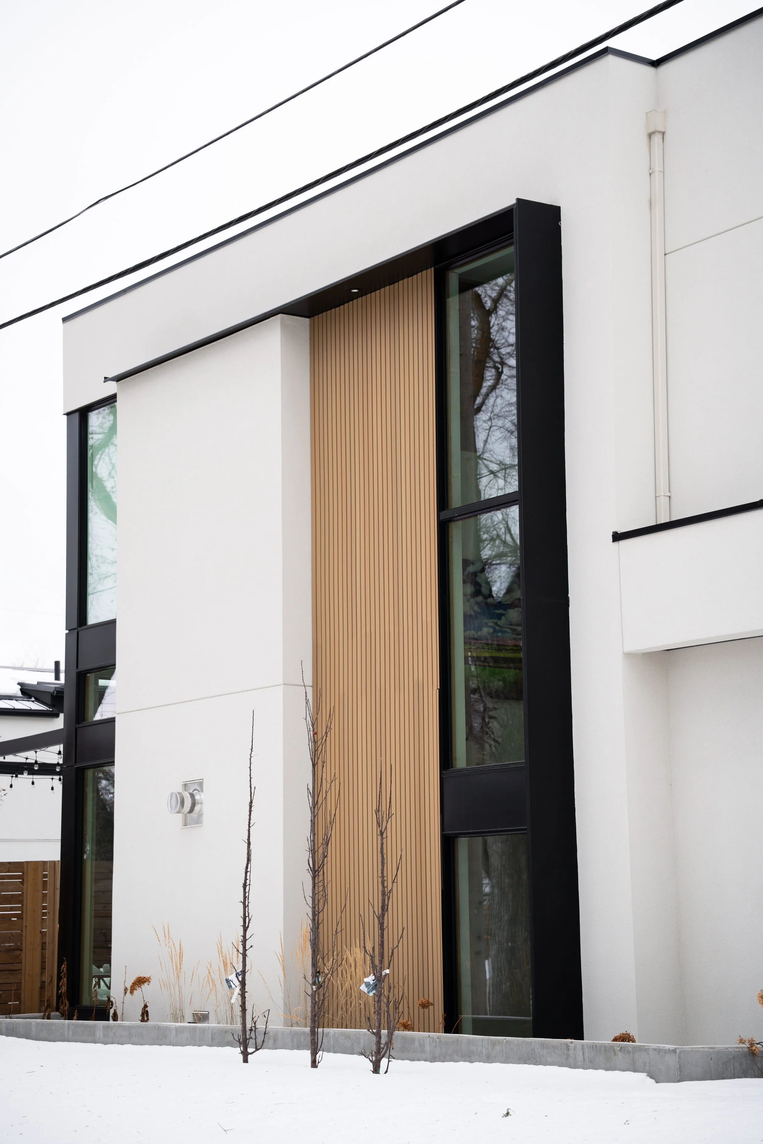 Bonsai-BSLT2 Golden Cedar_DSC02216.jpg