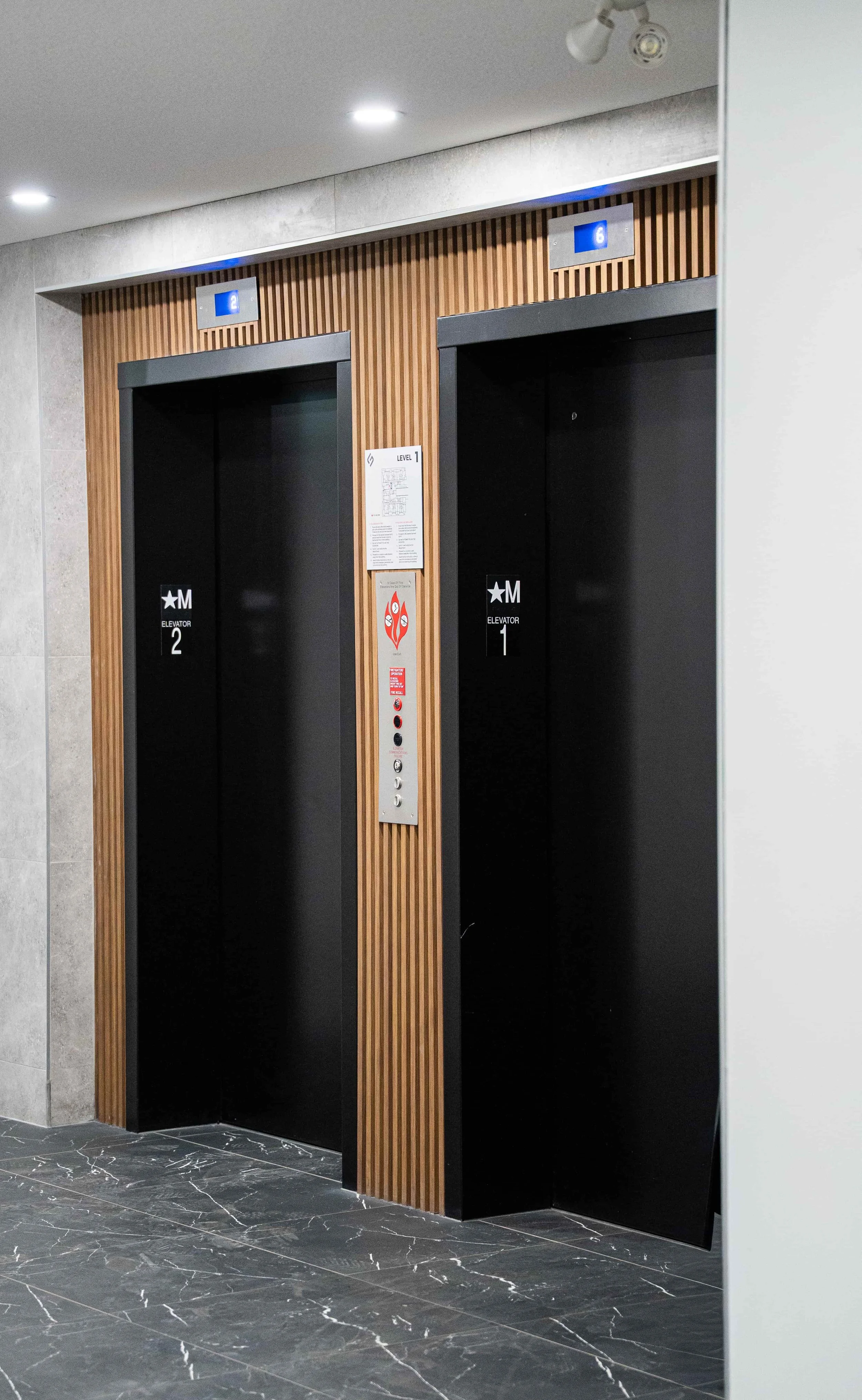 INT-117_Templar Grandis_DSC00392.jpg