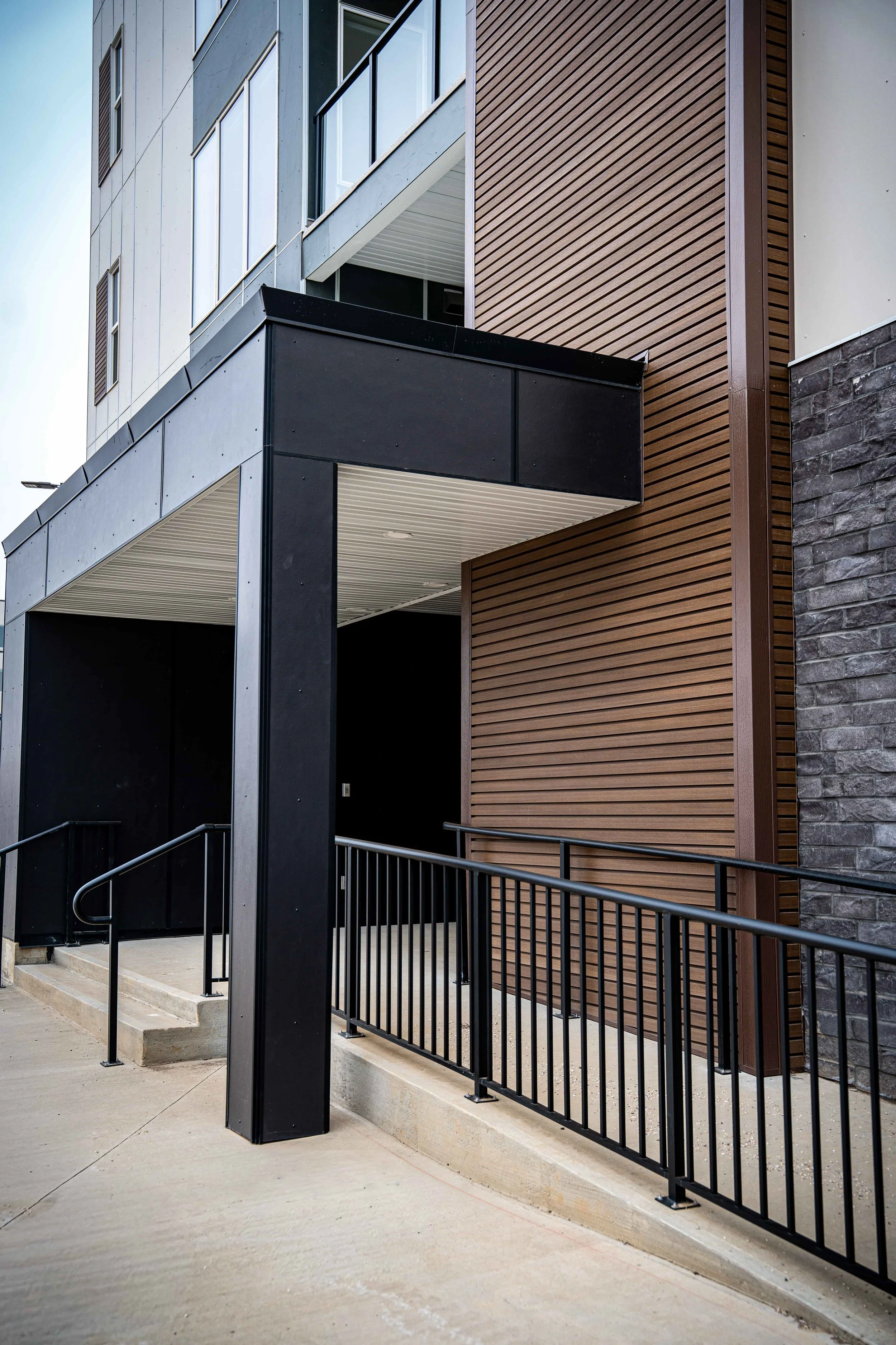 Bonsai-BSLT2 Walnut_DSC00212.jpg