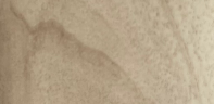 Desert Walnut
