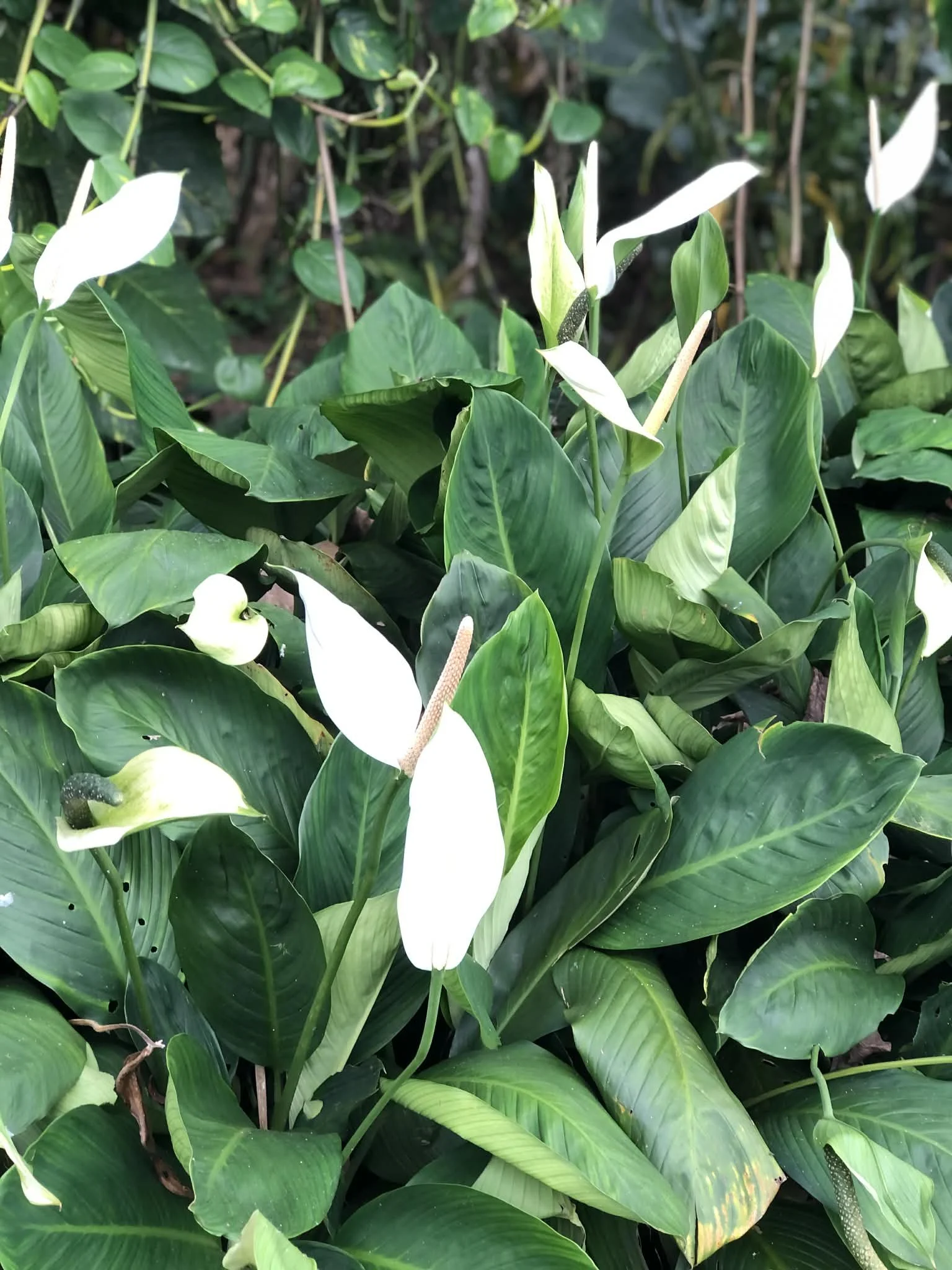 63bda87a-9815-4b6c-a8f3-d6a6b10d1833.jfif