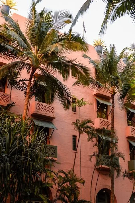 Pink building surrounded by tall palm trees with small balconies and lush greenery.