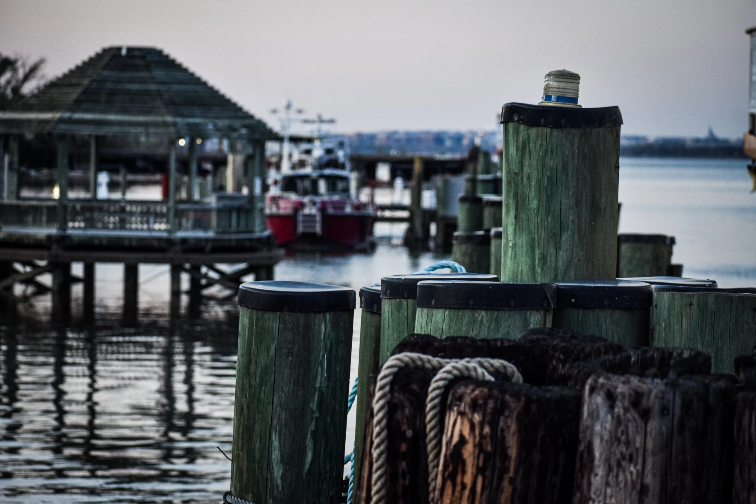 DSC_0507.jpeg