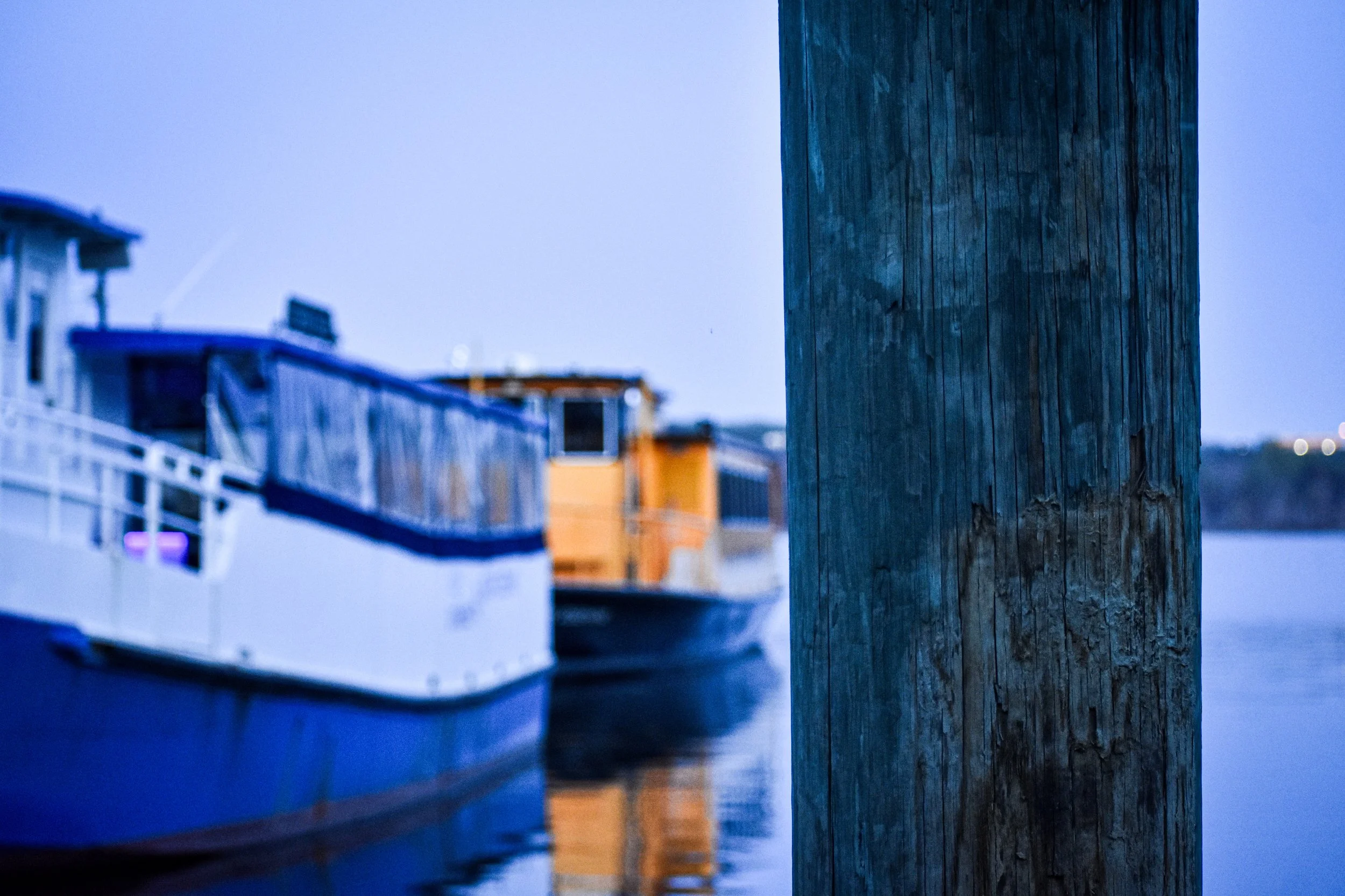 DSC_0554.jpeg