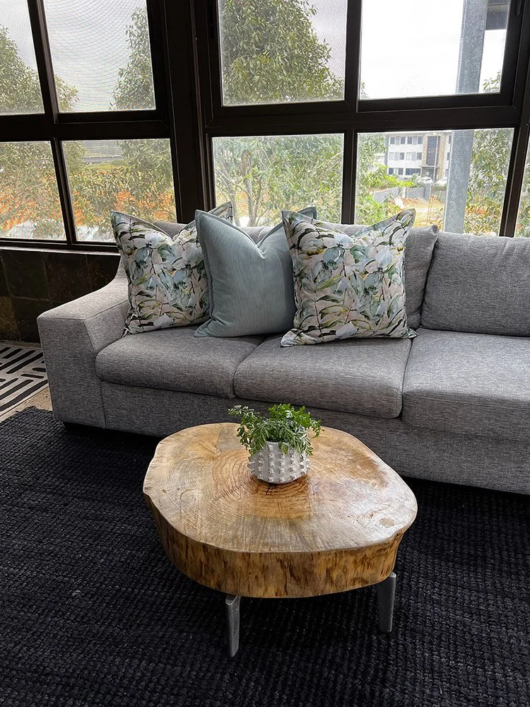Colleen_Willis_Interiors-04-Couch-and-Cushions.jpg