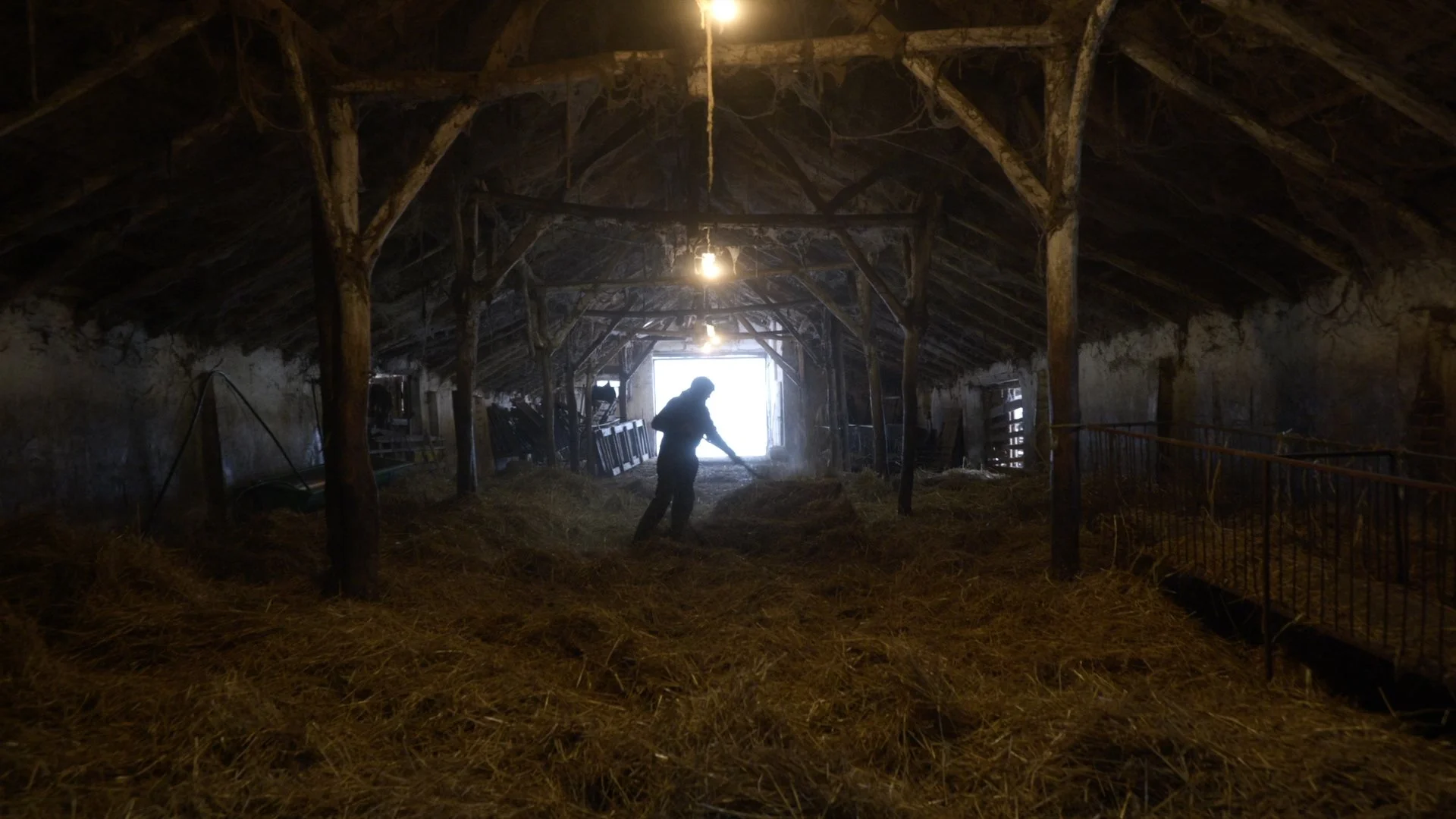 Shepperd (short documentary)