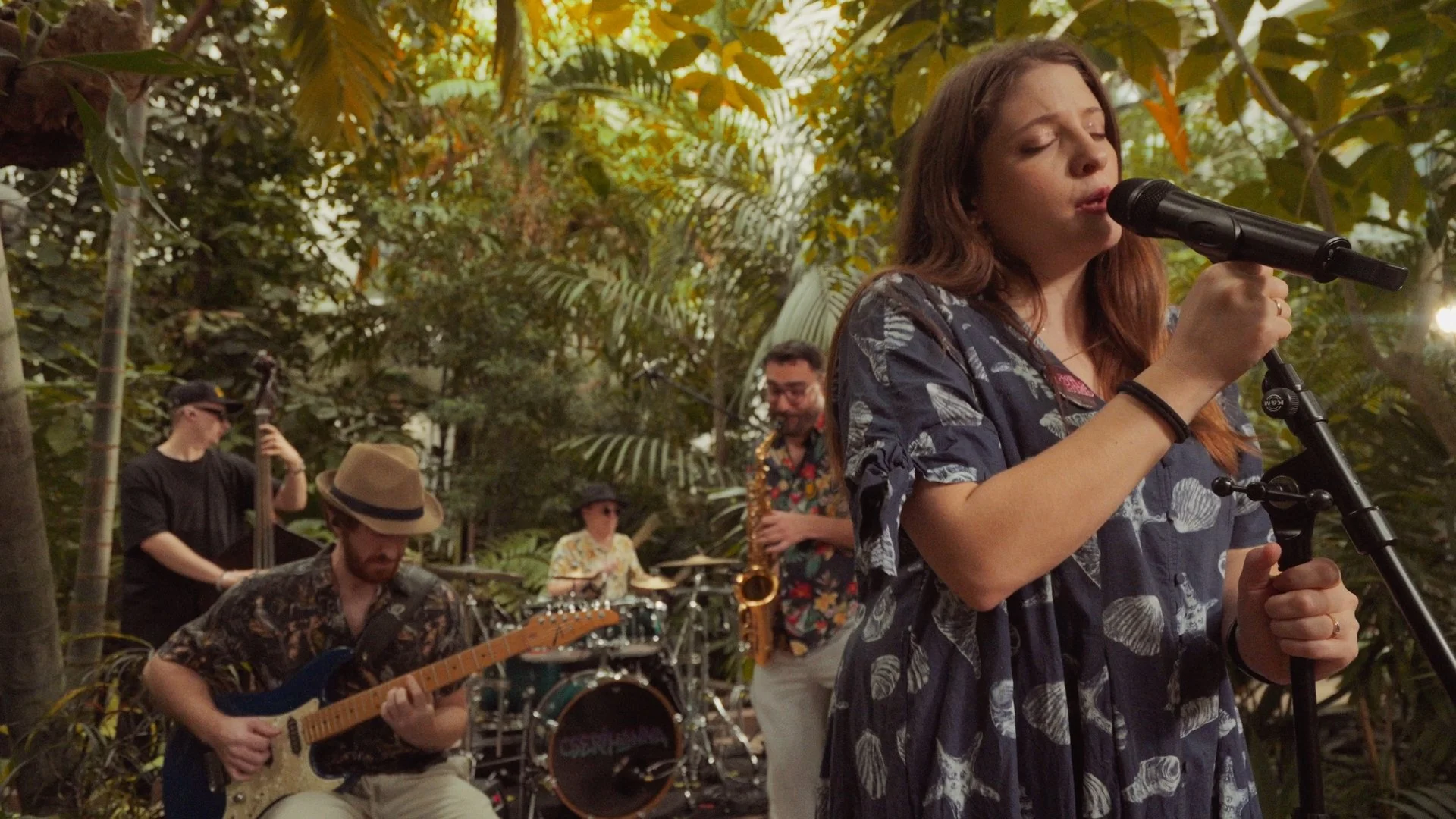 Roll Sessions (live music session)