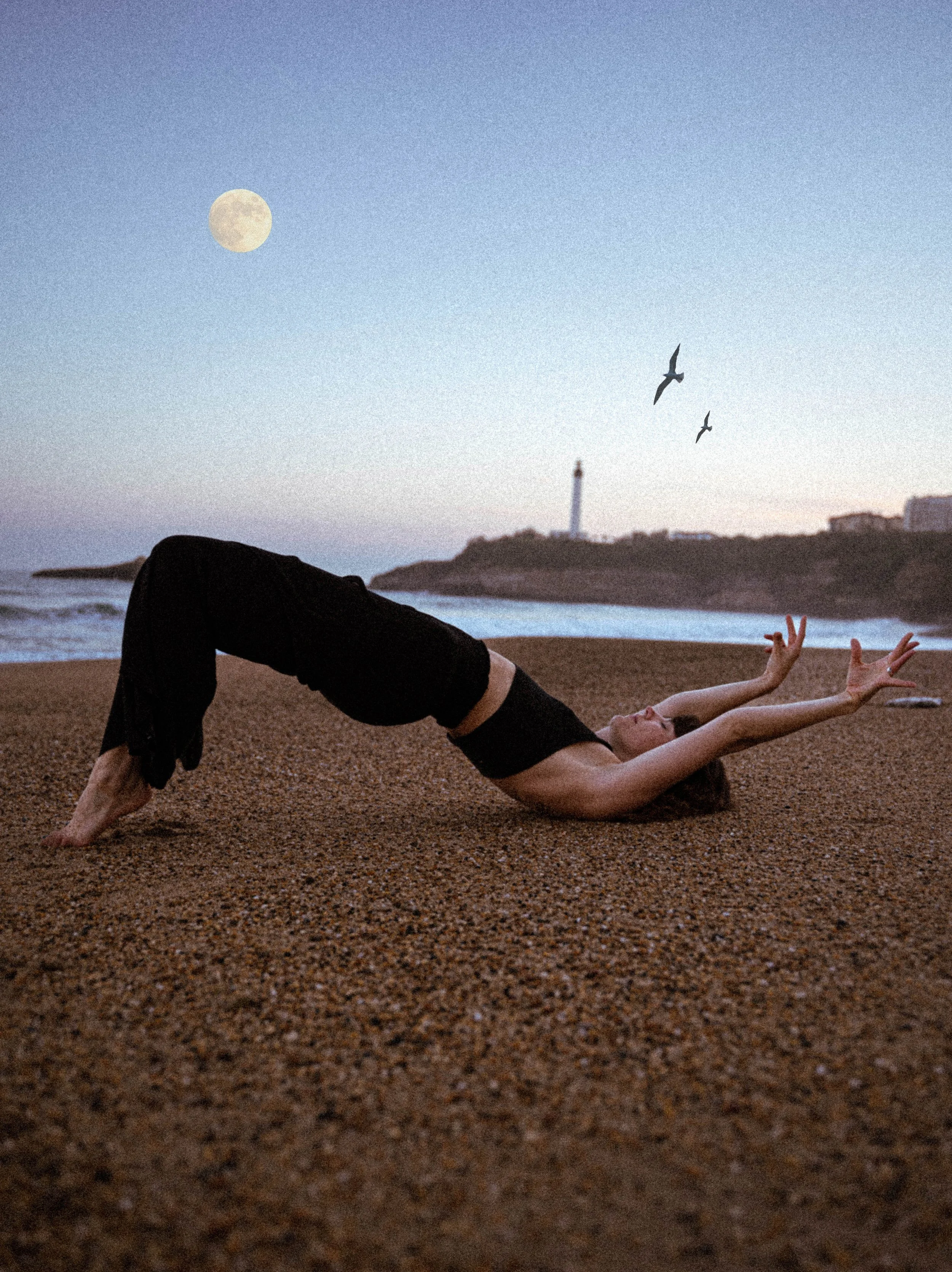 _P1_3947 moon bird.jpg