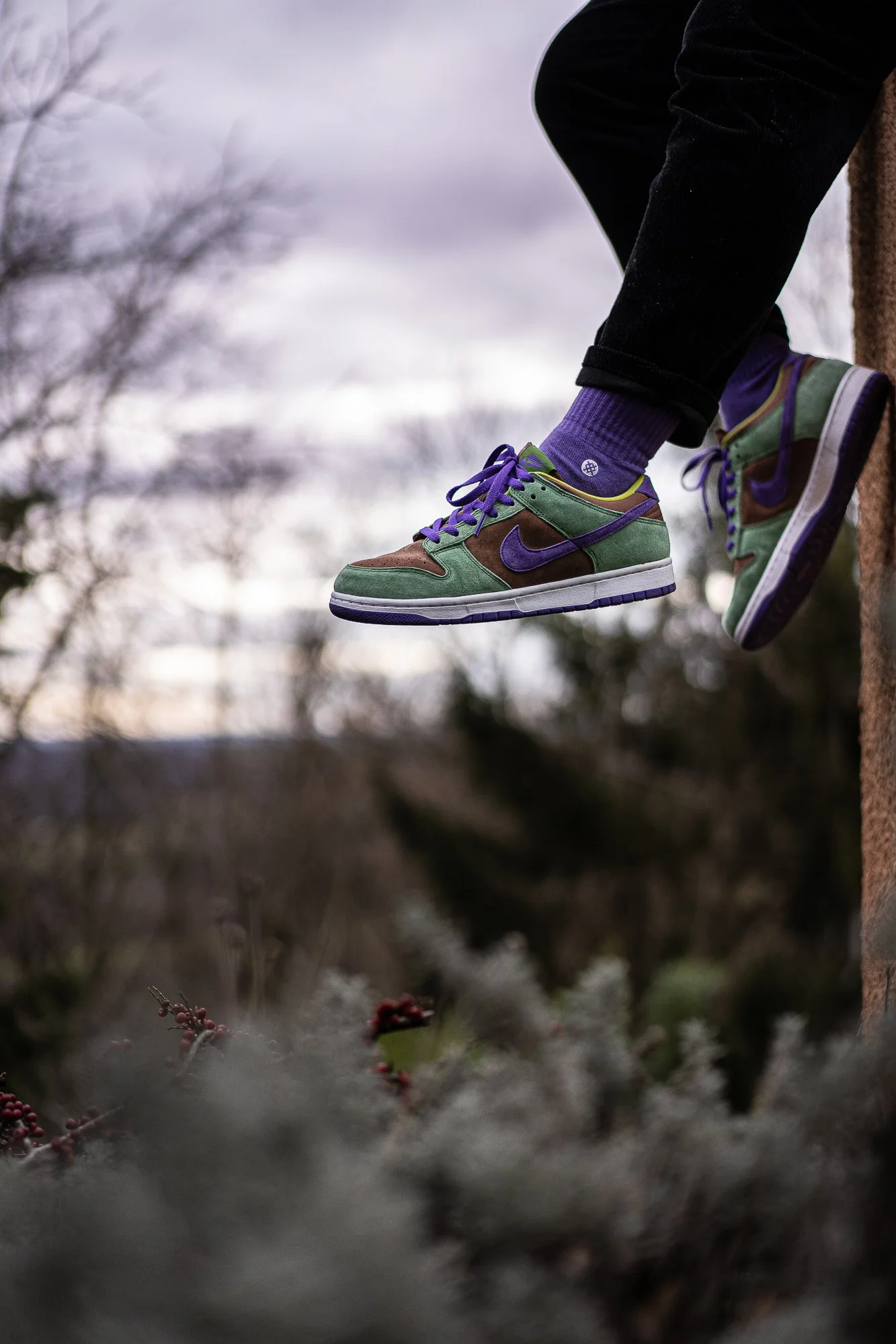 Nike Dunk Veneer.jpg