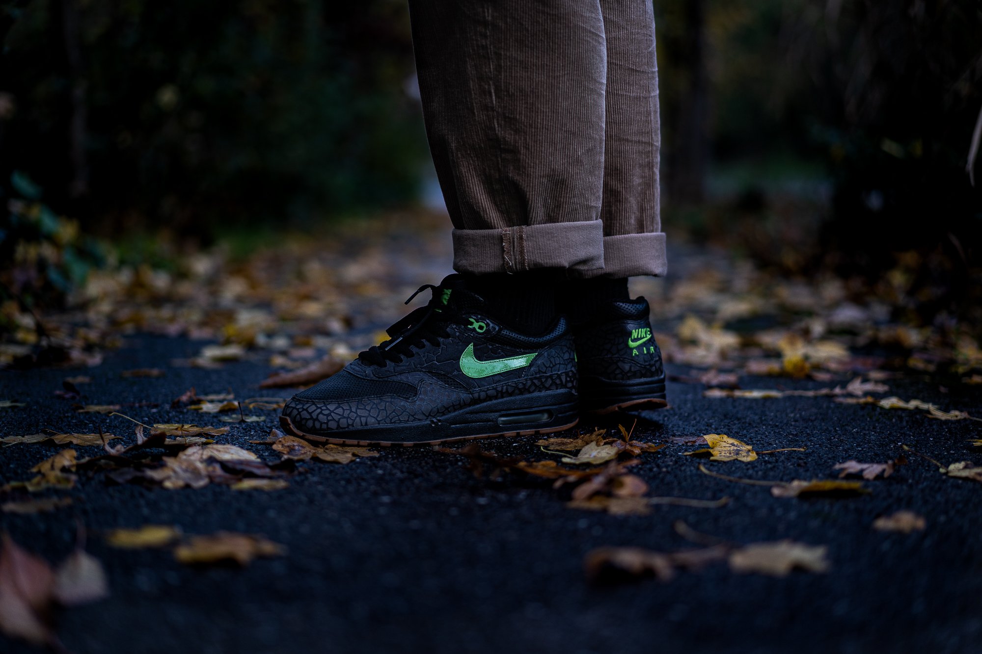 Air Max 1 Hufquake.jpg