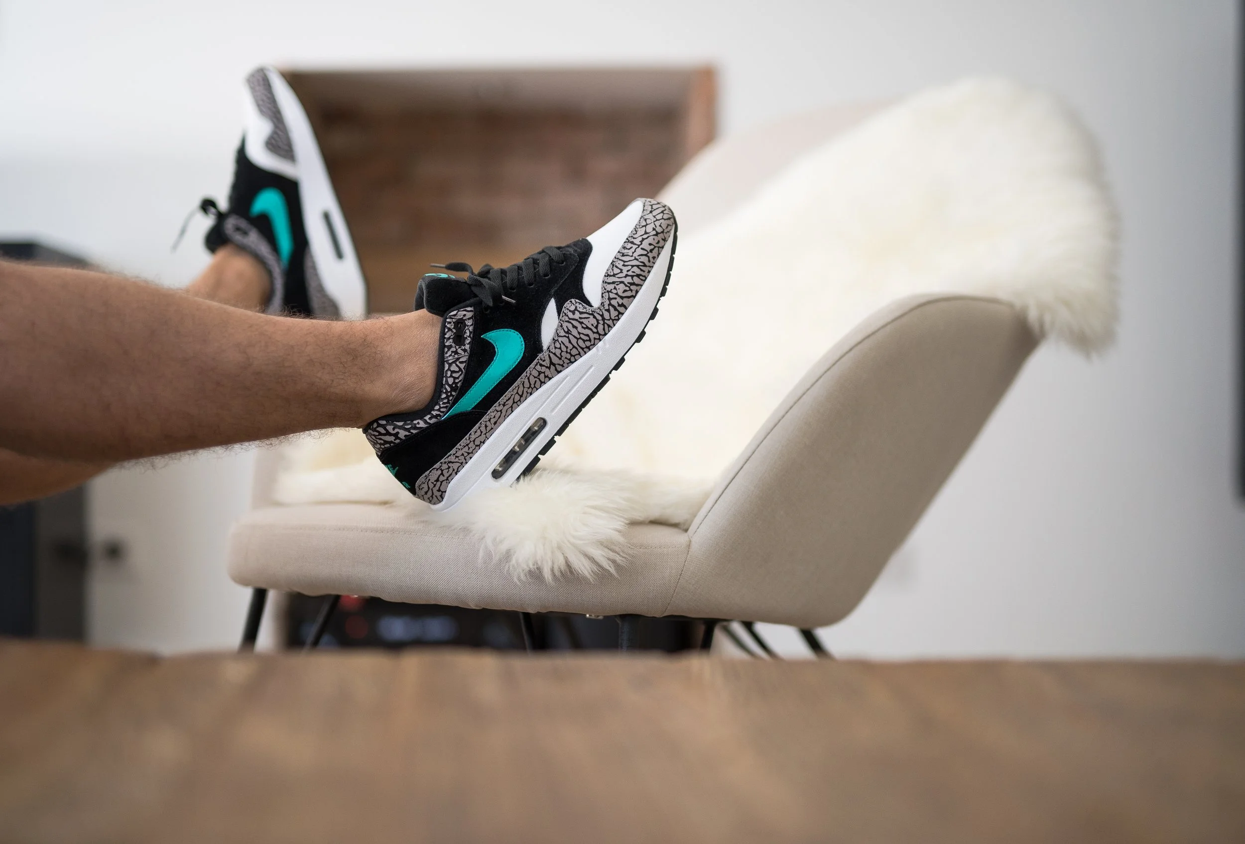 Nike Air Max 1 ATMOS.jpg