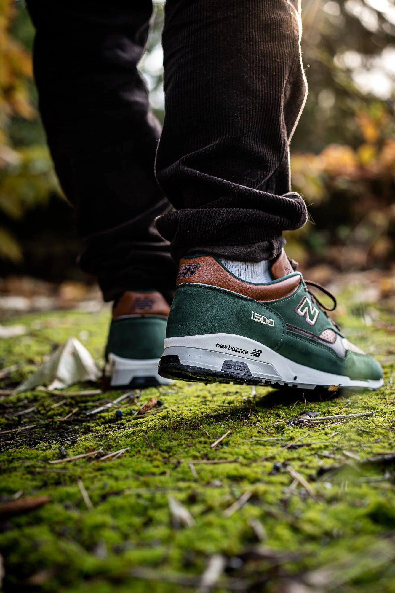 NB 1500 Robin Hood-2.jpg