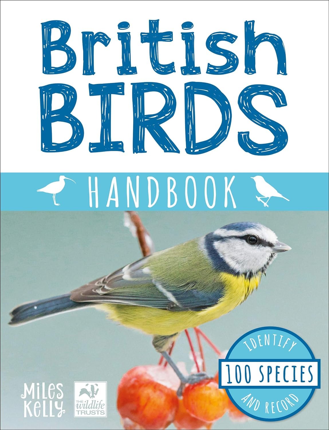 Belinda-Gallagher-freelance-editor-Gingerbread-Moon Creative-British-birds-handbook-nonfiction-books.jpg