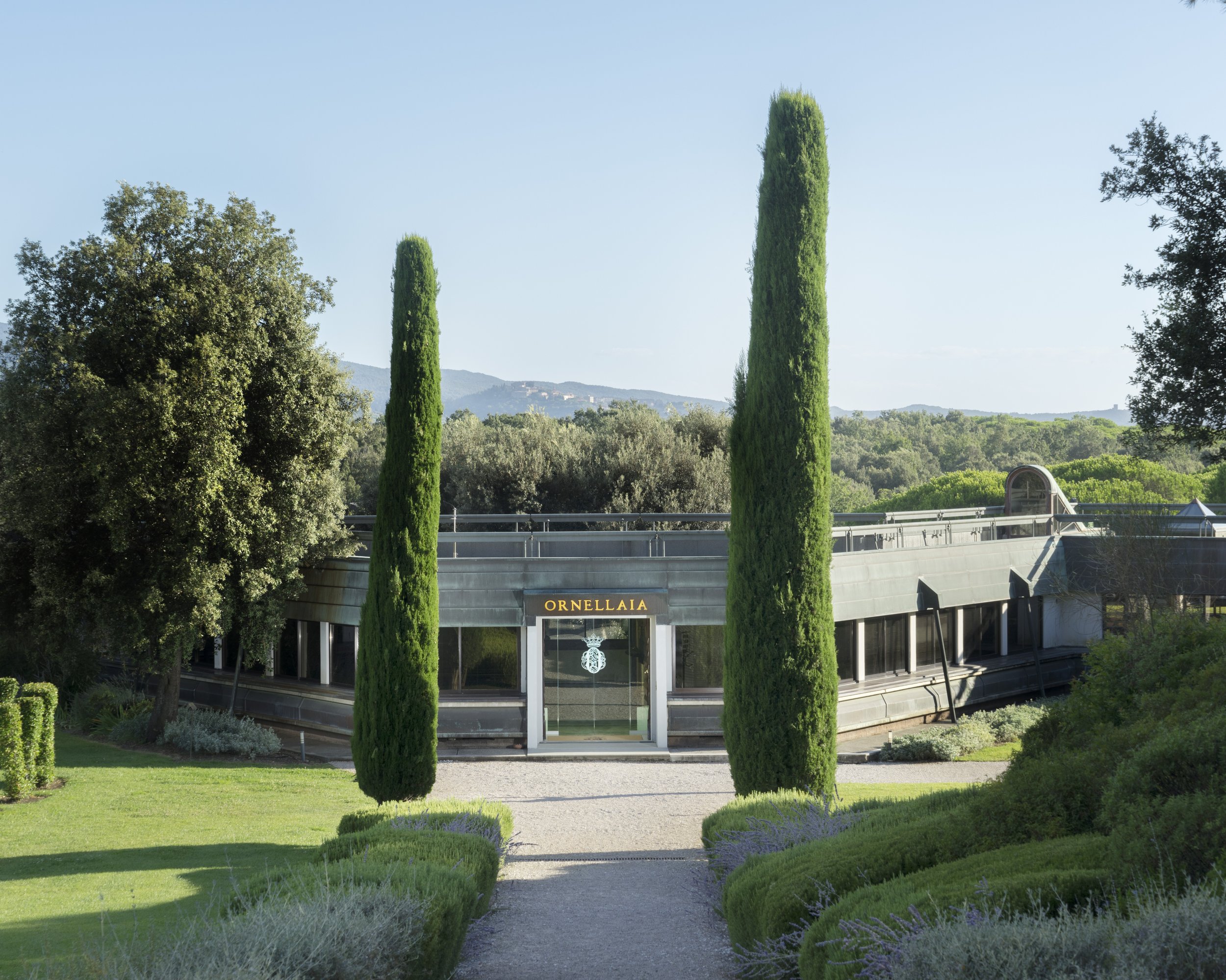 Modern building with a sign that reads 'ORNELLAIA,' surrounded by a landscaped garden with tall cypress trees, green bushes, and lavender plants, under a clear blue sky with hills in the background.
