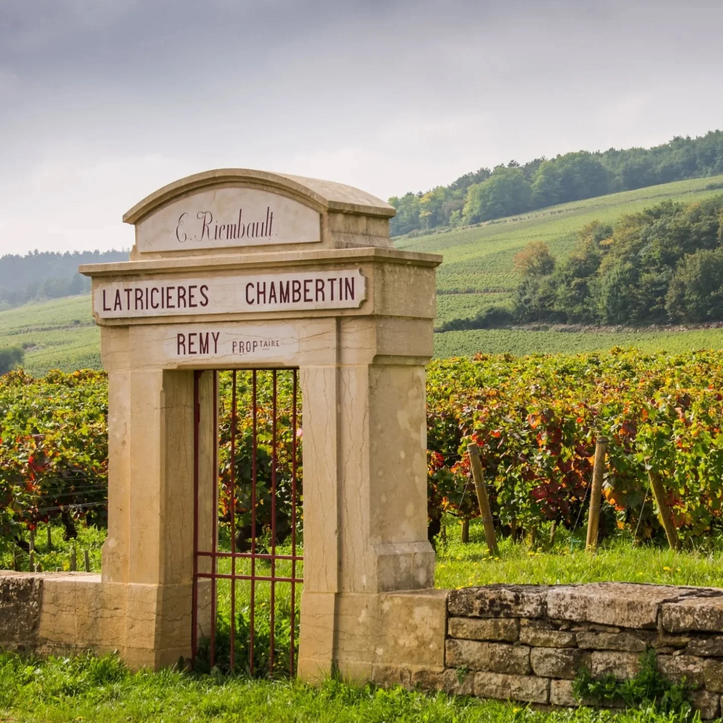Producing some of the finest Grand Cru and Premier Cru wines, Burgundy is arguably the finest example of vinicultural excellence in the world. The region has five sub-regions: Chablis, the C&ocirc;te de Nuits and C&ocirc;te de Beaune both situated in