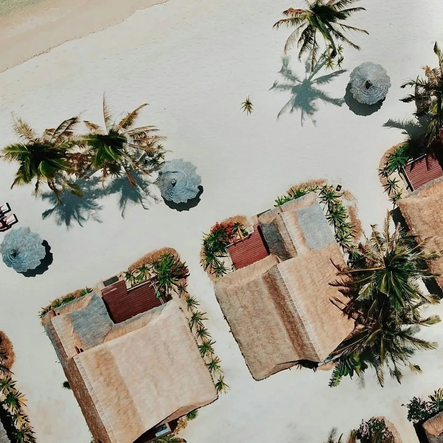 Asia is a truly captivating destination. This vast continent never ceases to inspire - from the majestic Himalayas and the pristine beaches of Southeast Asia, to vibrant cities like Tokyo and Shanghai in the east, and Bangkok, Singapore, and the Arab