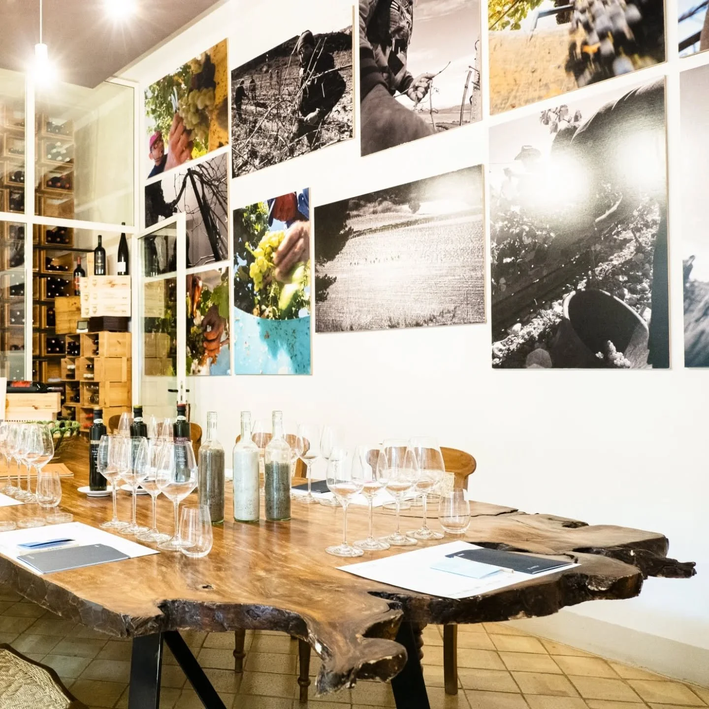 Step into the heart of Sicilian elegance at La Foresteria Planeta Estate at @planetawinery

We love the tasting room here! It doesn't get much better than sipping on some Planeta Cometa within the beautiful Planeta Estate surrounded by the rolling hi