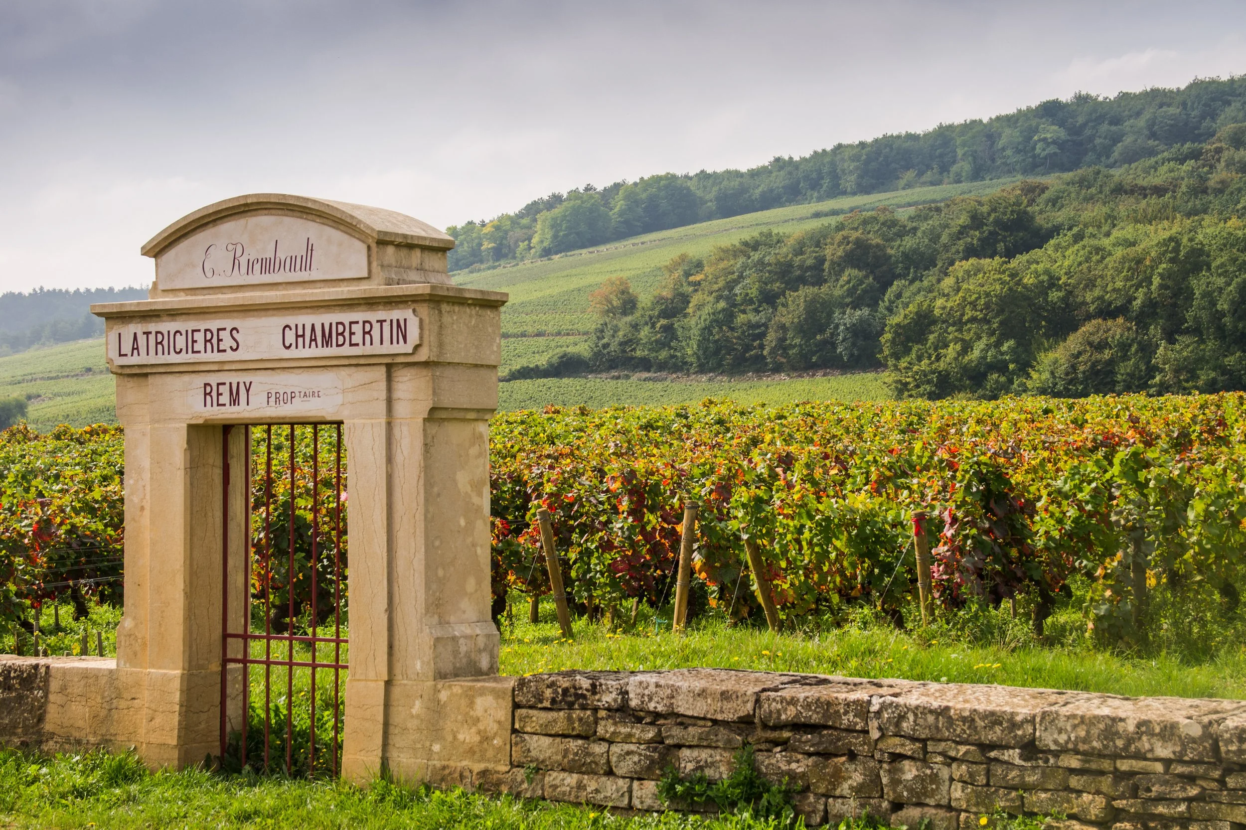 Entrance gate with a sign reading 'Latricieres Chambertin' in front of a vineyard in a hilly landscape.