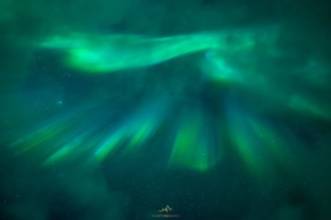 8th March 💚

https://www.northbound.no/tours

#auroratour #northernlightstroms&oslash; #norway #auroraaustralis #troms&oslash;
