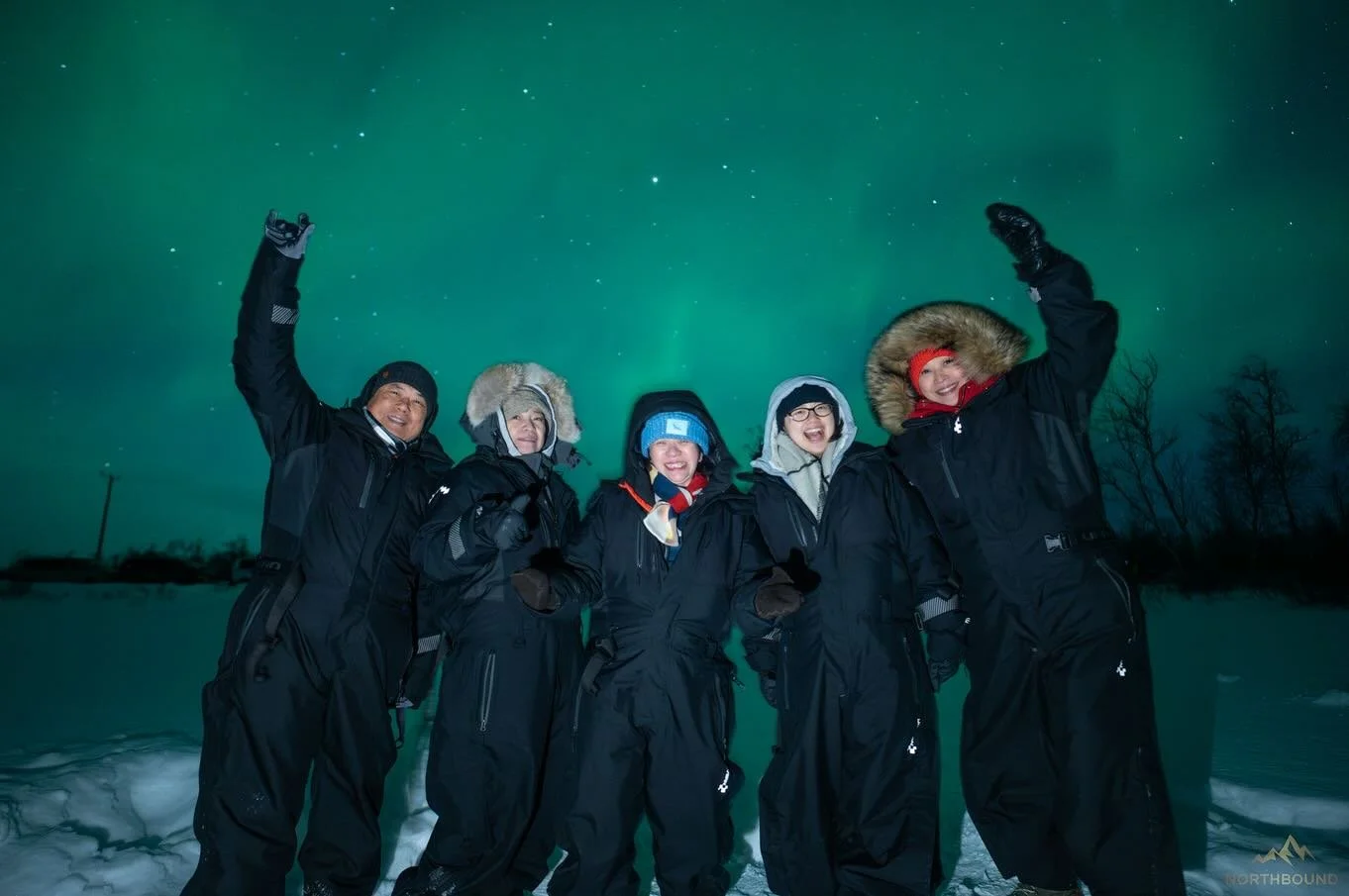 21st March 💚

https://www.northbound.no/

#auroratour #northernlightstroms&oslash; #auroraborealis #troms&oslash; #norway
