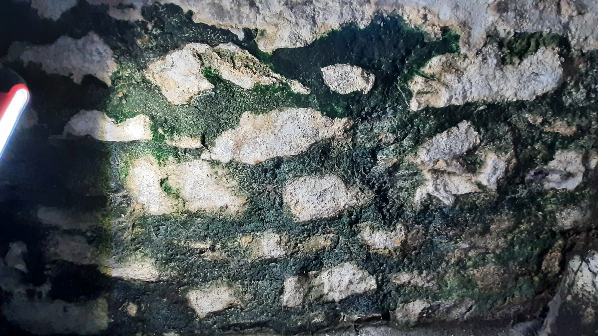 20230915_091824.jpg