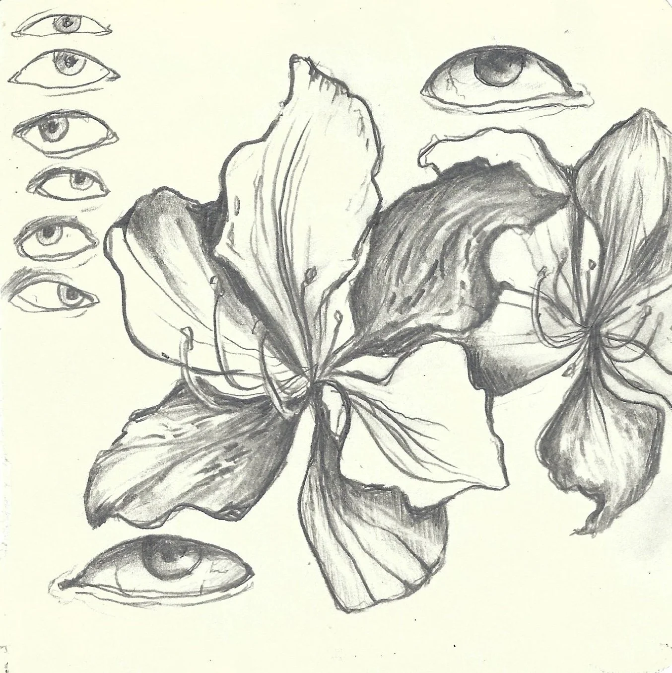A pencil sketch featuring a large cluster of leaves and two butterflies, with multiple eyes drawn on the left side of the image.