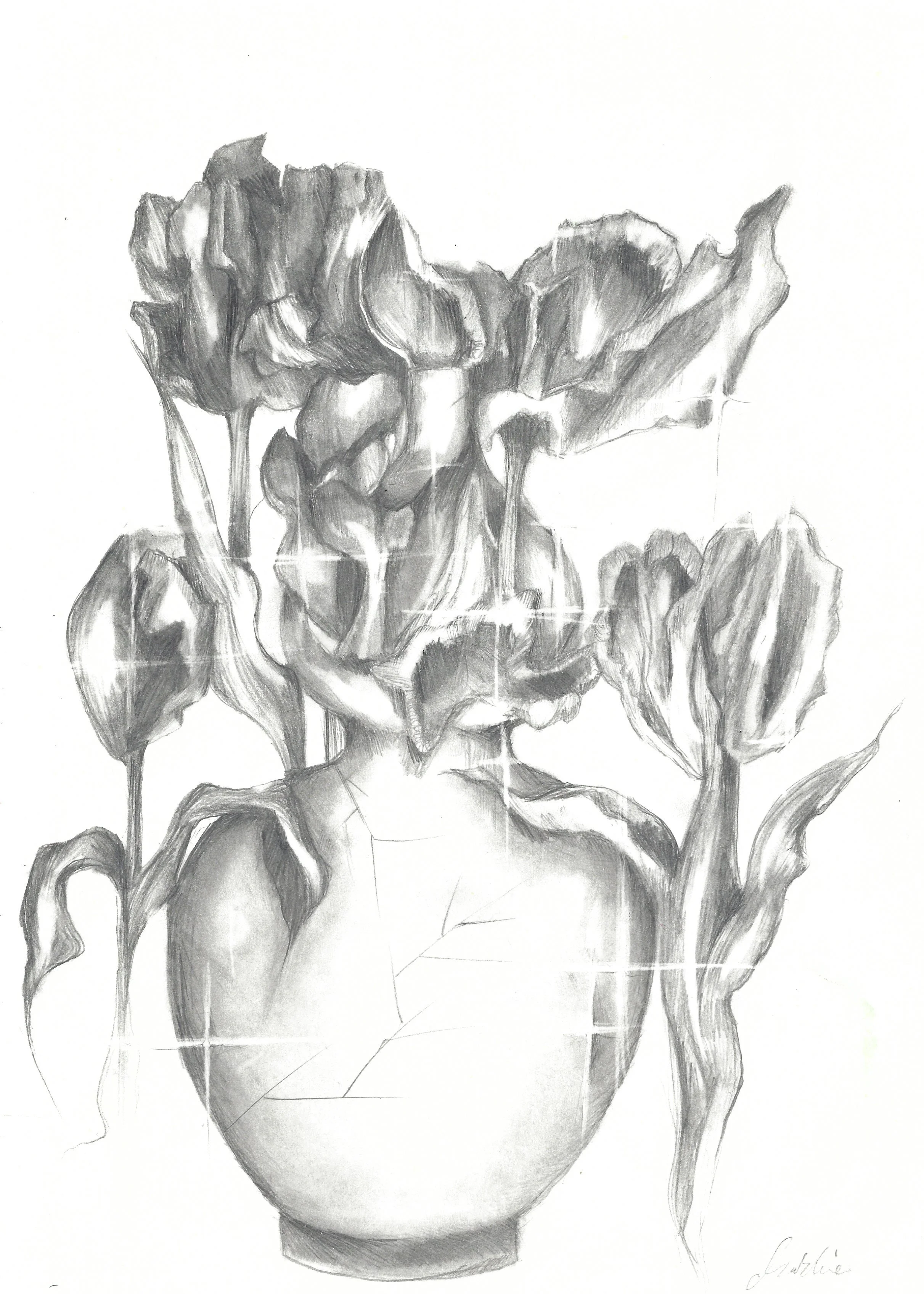 Detailed pencil drawing of a large flower with multiple petals, with some petals appearing folded or curled, and the flower growing from a stem with a small leaf. The drawing has shading to give depth and texture.