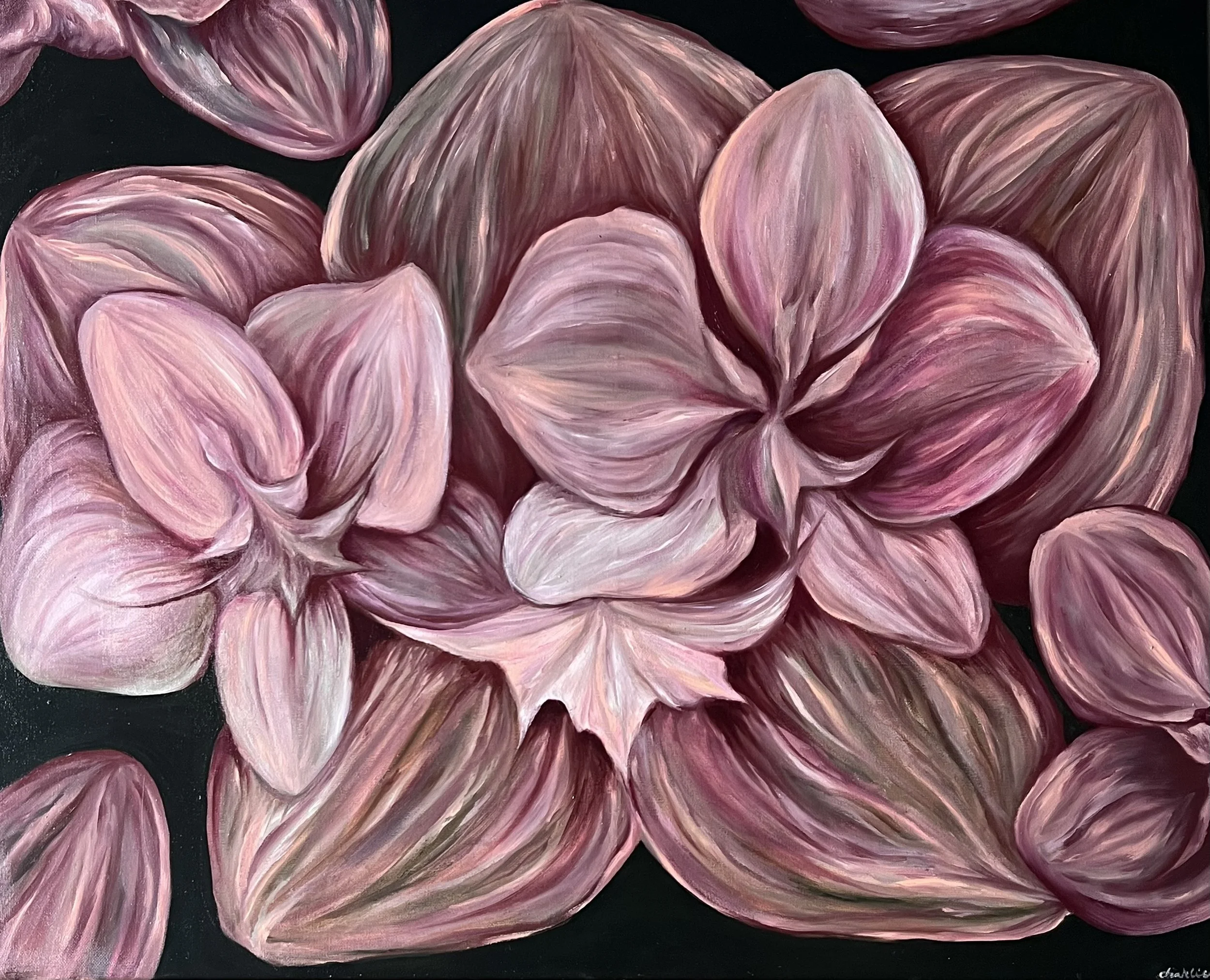 Close-up of a floral painting with pink petals on a black background.
