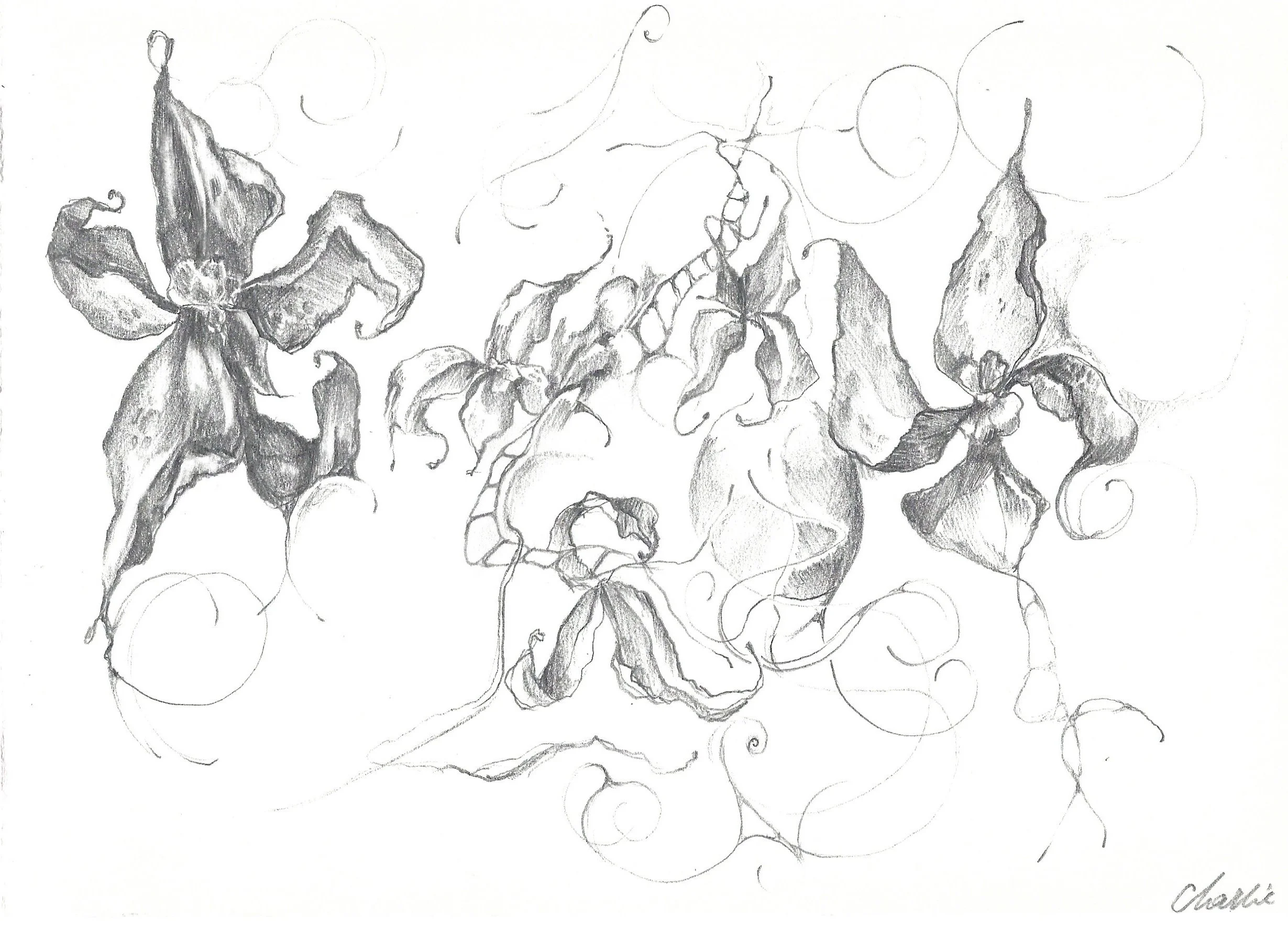 Dancing Orchids print