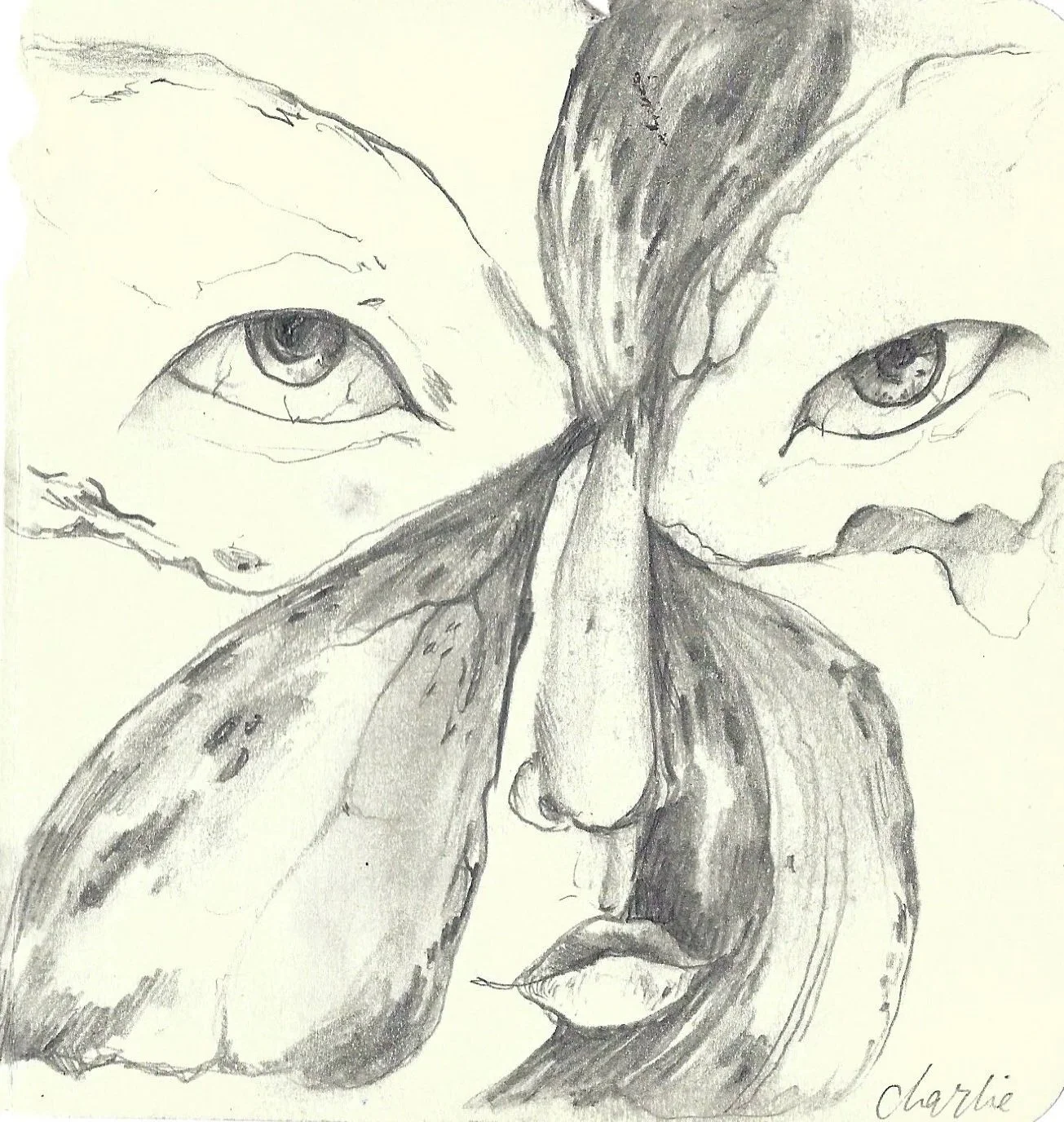 Black and white pencil sketch of a woman's face with butterfly wings merging from her face, featuring detailed eyes and lips, signed 'Charlie'.