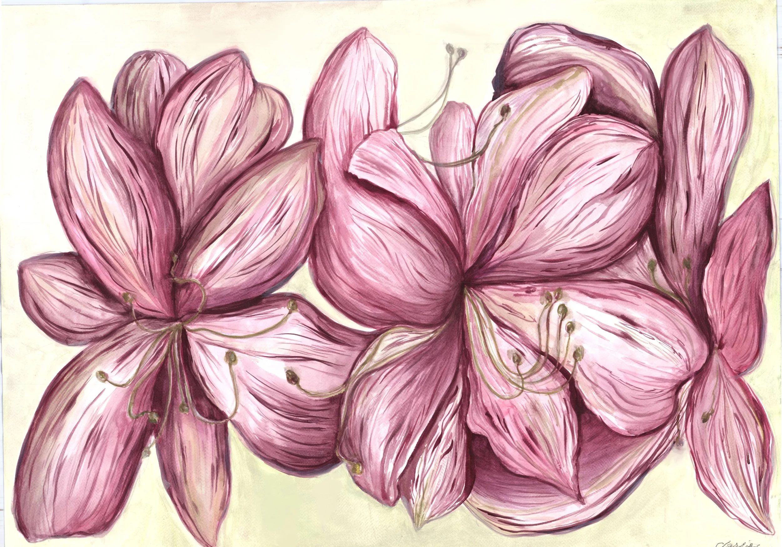 A painting of pink and purple flowers.