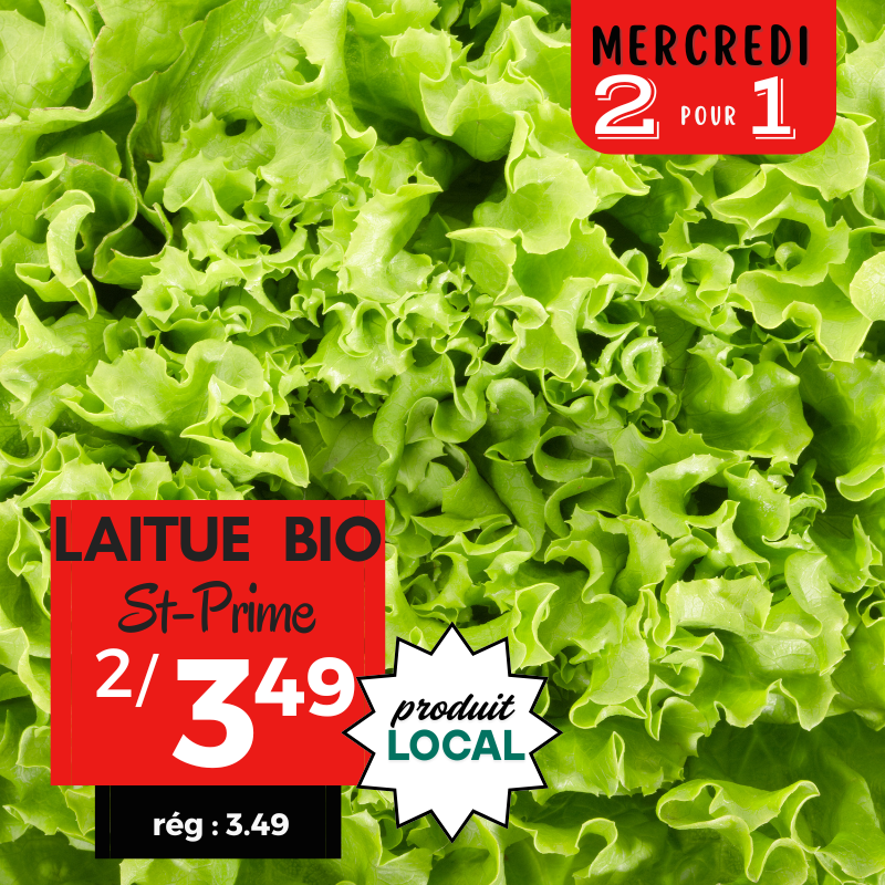 Laitue bio locale