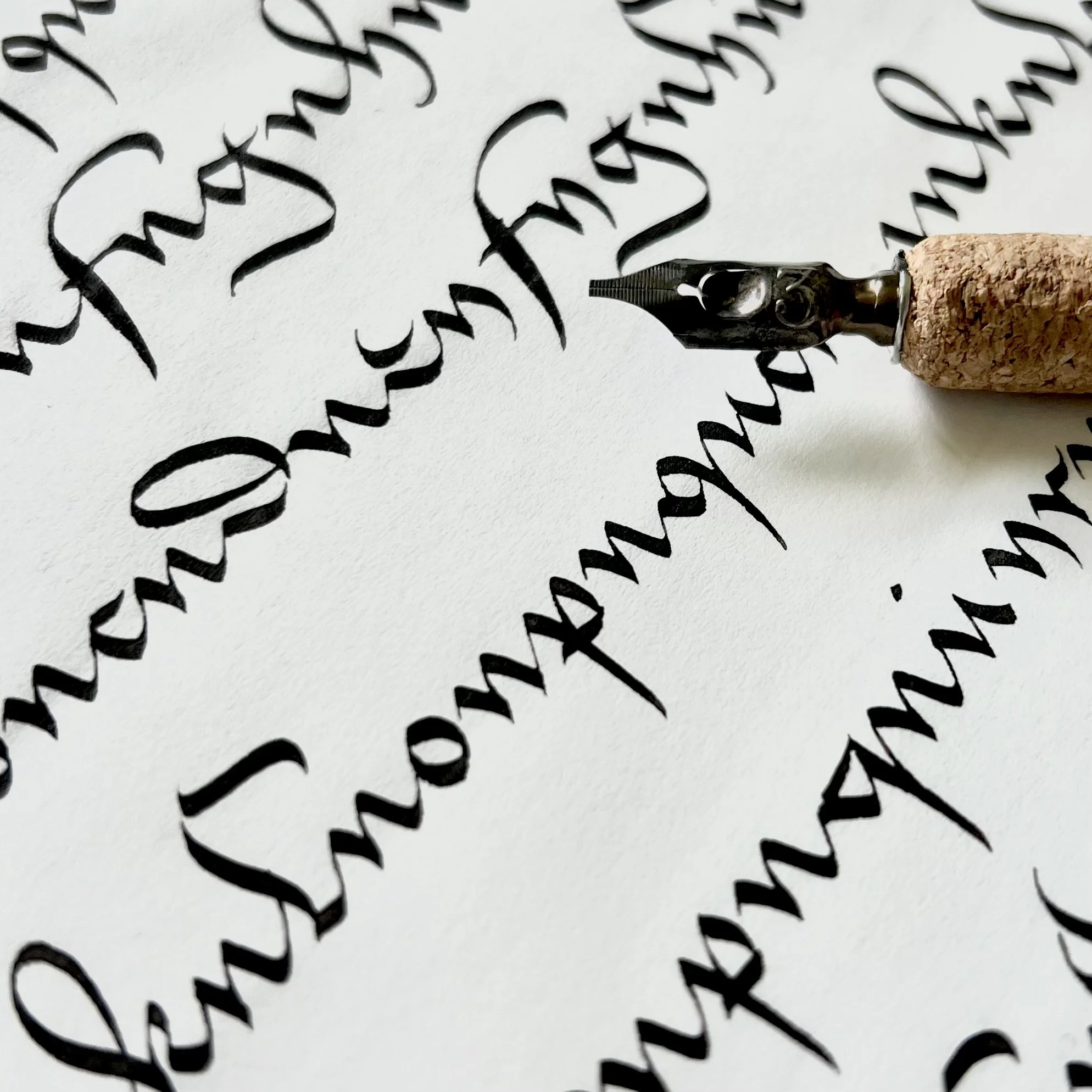 Workshops — ANINTRAN