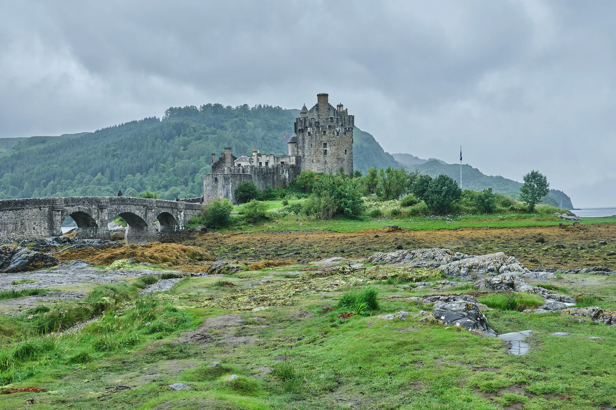 DSCF2153.jpg