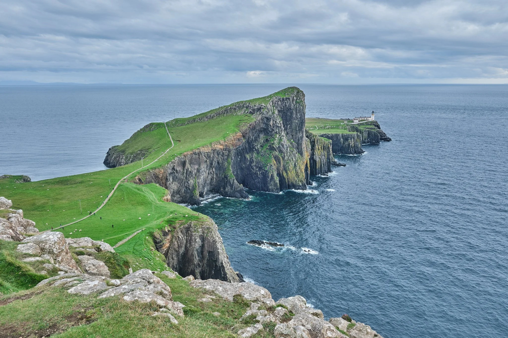 DSCF2416.jpg
