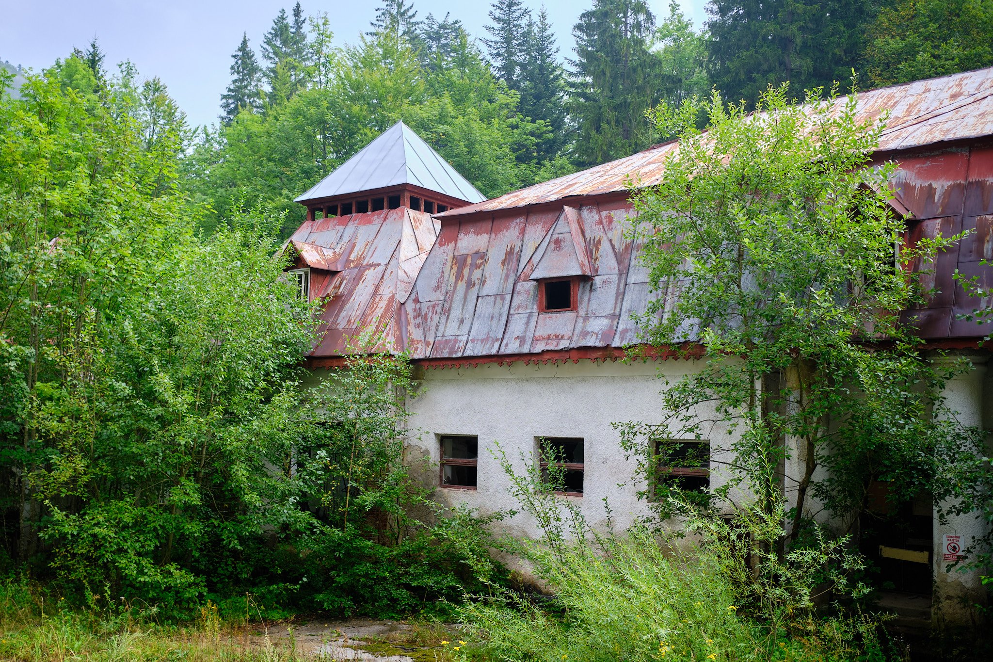 XE4Z1283.jpg