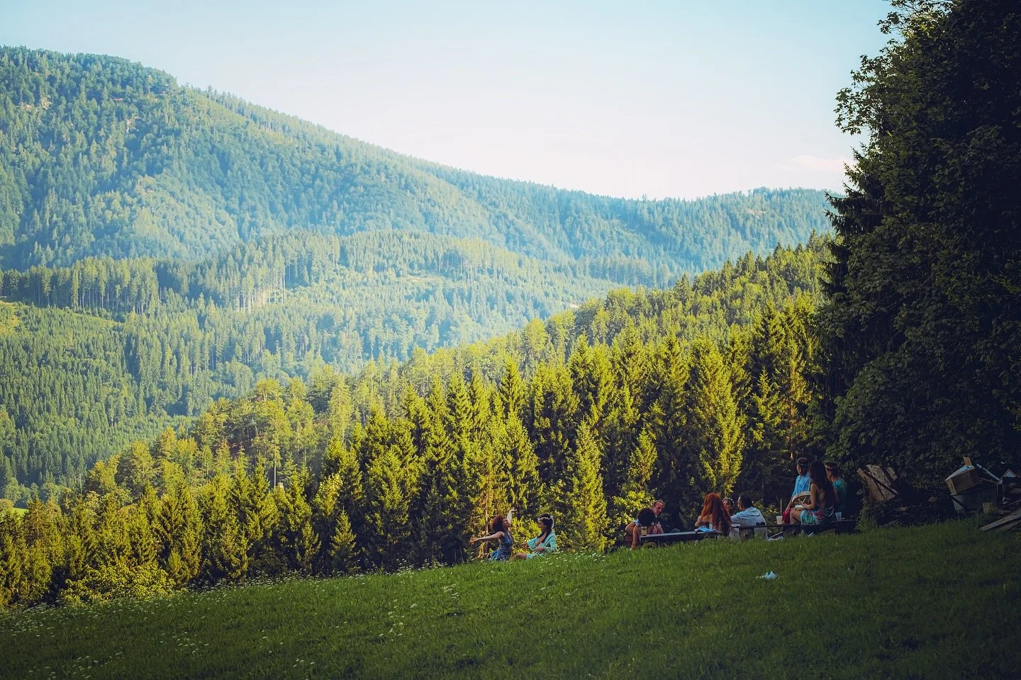 Our last sacred mushroom journey on this land.
Leading a wonderful powerful group through this transformational gateway.
They were chosen. They were ready.
A carefully crafted retreat program that makes sure people can ground themselves, feel conf