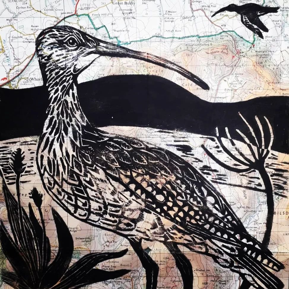 Happy World Curlew Day... to celebrate here's a superb linocut created by our Studio Artist Glynis Johnson  @glynismakesthings 

#worldcurlewday #curlew #curlewaction #30dayswild #staywild #linocut #maps #printmaking #northyorkshiremoors #localartist