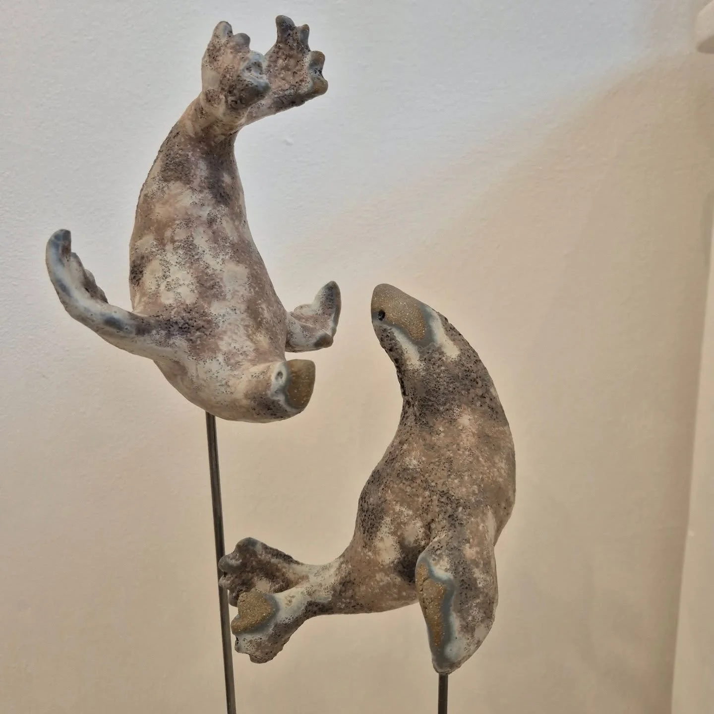 LAST DAY TODAY! The Salt and Heather Exhibition  is open 12-4pm today!
We've had so much wonderful feedback for this show...
'Totally inspiring!'
'Wonderfully charming'
'This is just awesome. Makes me feel privileged to live in this area'

#saltburn 