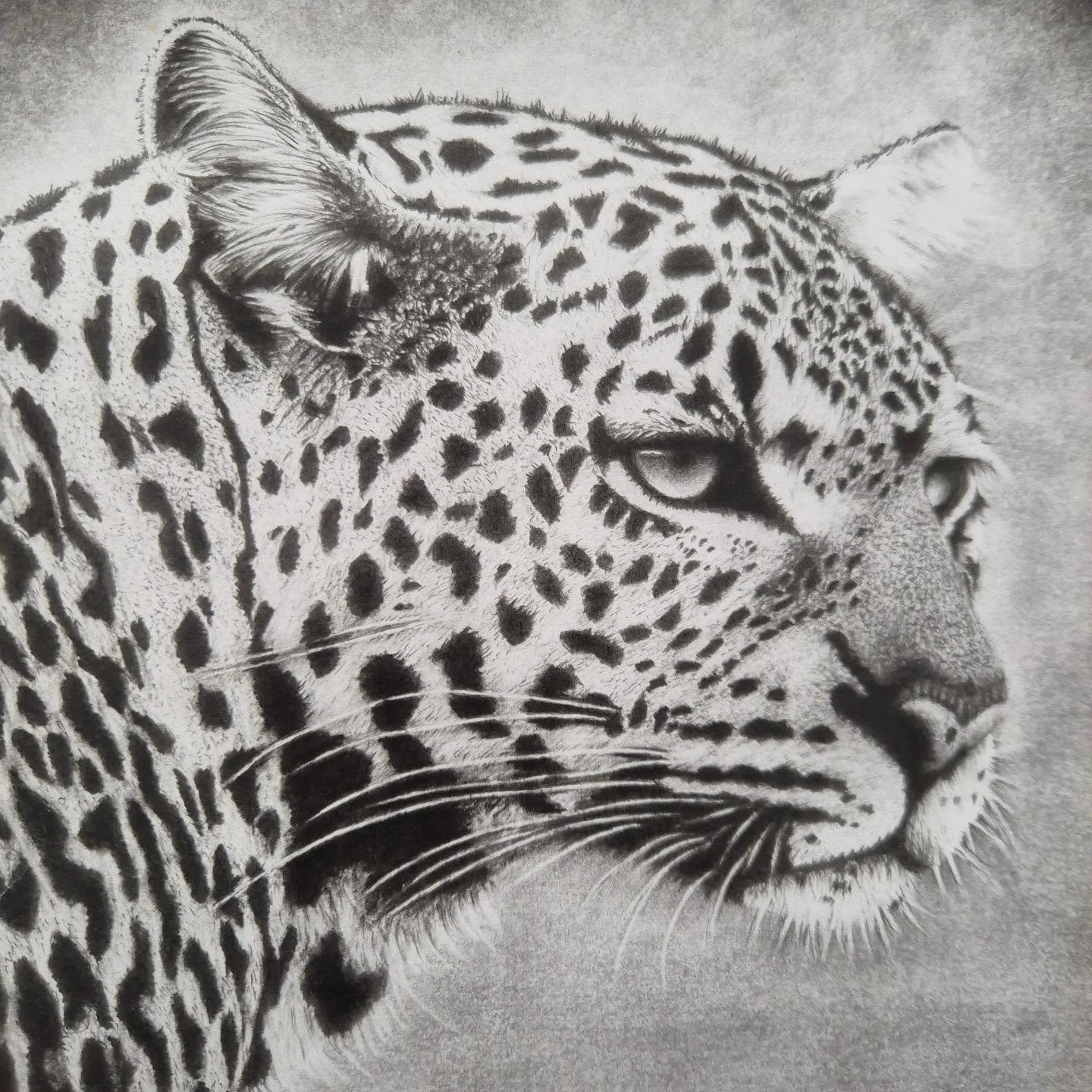 Another stunning drawing from Saltburn artist Ron Chapman featuring in a unique exhibition celebrating his artwork and life.
Our Studio Artist Dennis Roddam and his wife Martie have done an incredible job curating and coordinating this wonderful body