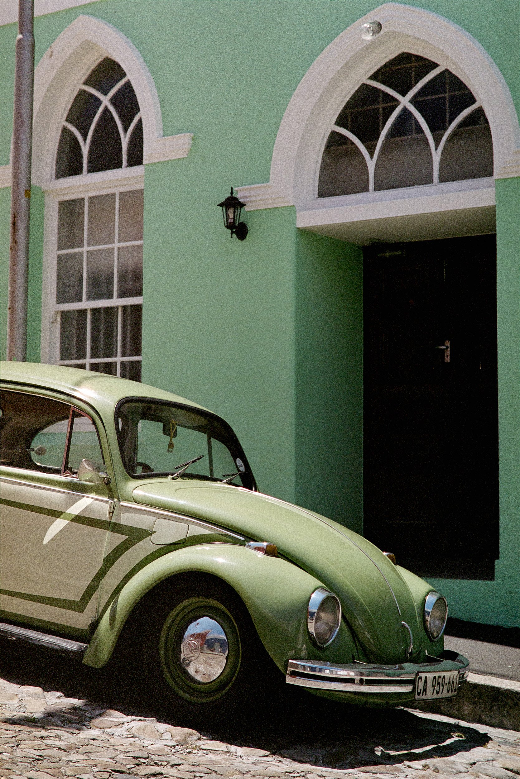 1. Beetle - Kaapstad, 2020.jpg