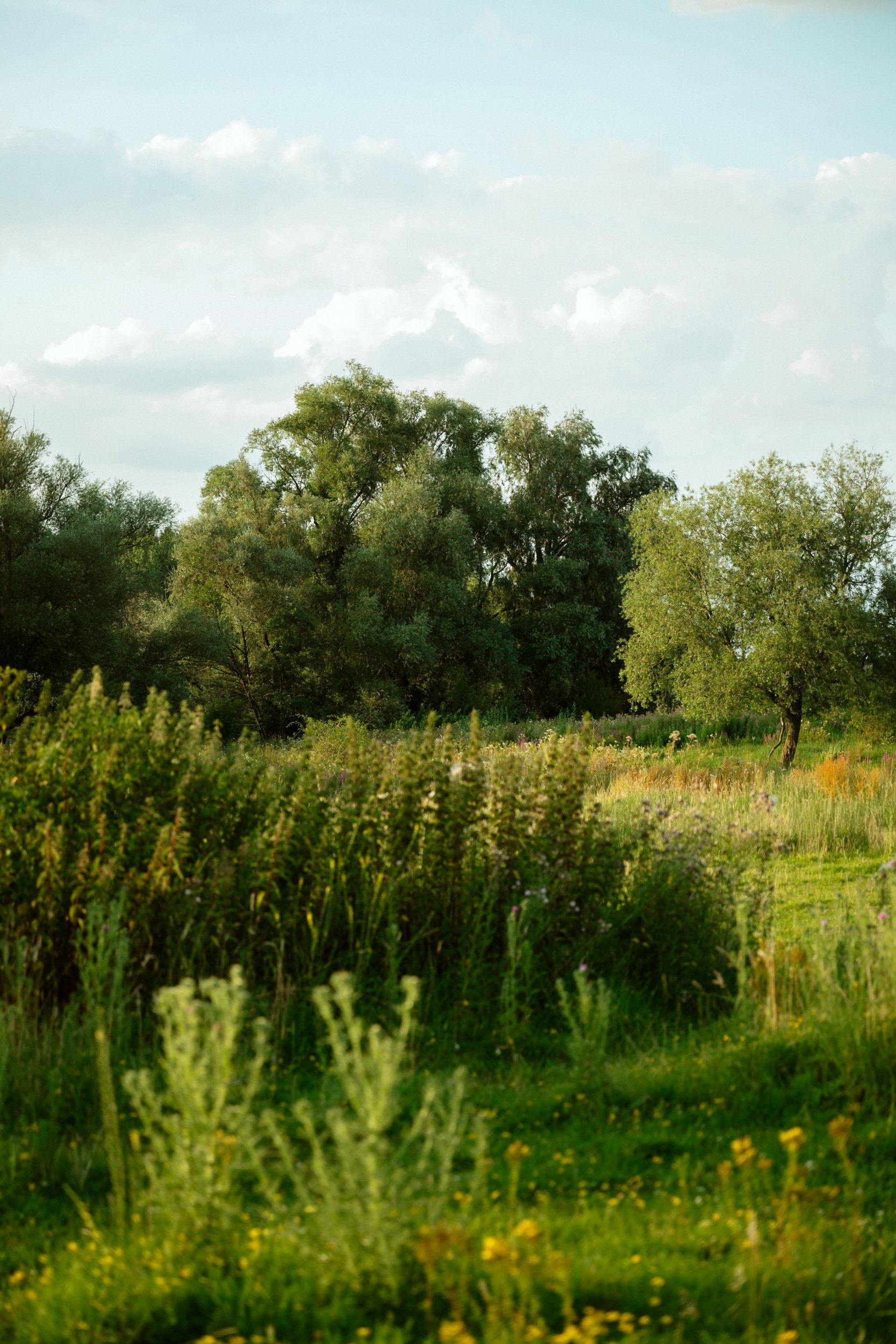DSC_4775.jpg